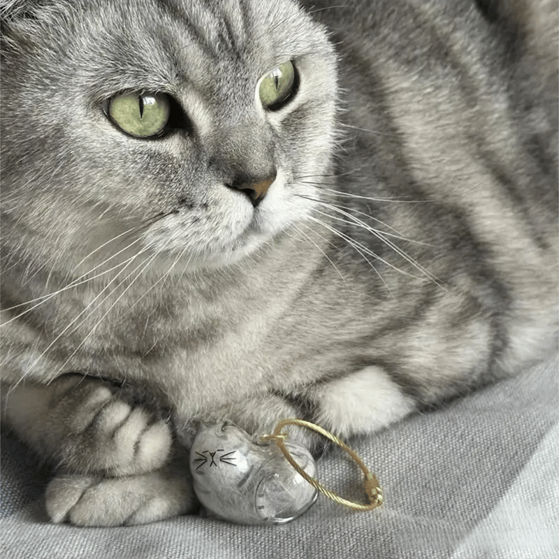 🐾1 Count Transparent Cat Hair Storage Capsule Keychain,🐱 Keepsake Decoration for Cat Lovers, 6 Cute Cat Designs Available💕