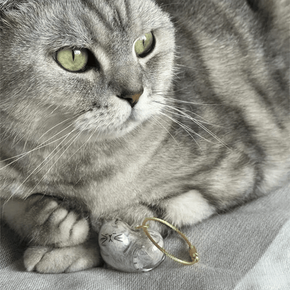 🐾1 Count Transparent Cat Hair Storage Capsule Keychain,🐱 Keepsake Decoration for Cat Lovers, 6 Cute Cat Designs Available💕