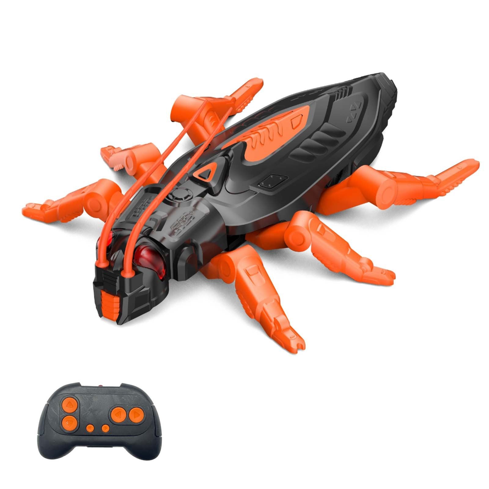 Orange Cockroach